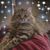 Jane Fisher Shaddix's profile image