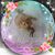 Patti Smits's profile image