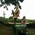 Diane Orr's profile image