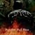 Roque Bal Boa's profile image