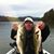 Anthony Williams's profile image