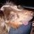 John B. Sharp's profile image
