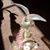 Maureen A. Finn's profile image