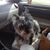 Kimberley Warren Sanders's profile image
