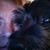 Linda S Dall's profile image