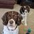 Megan Arbuthnot's profile image