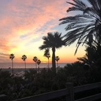 Carrie C Caldwell's profile image