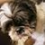 Greg Horoski's profile image