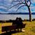 Nyc Fernando Piney's profile image
