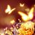 Linda Madere's profile image