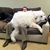 Brian Colter's profile image