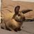 Bre Stoda's profile image