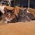 Peter Solomon's profile image