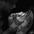 Josh Schuver's profile image