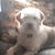 Michele Miller-Karpovich's profile image
