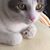 Grace Anderson Foster's profile image