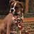 Carmela Milly Chinnici's profile image