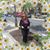 Victoria Arreola's profile image