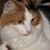 Sarah Reiter Pickhardt's profile image