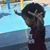 TaCarra Chisem's profile image