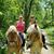 Dottie Pedone's profile image