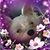 Julie S Snow's profile image
