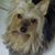 Lisa Walton's profile image