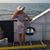 Debi Creech's profile image