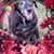 Susan Loewen's profile image