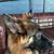Gina Roberti's profile image