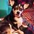 Debbie Jones's profile image