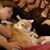 Jeanna Marie Fanning's profile image