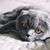 Greg Lobeck's profile image