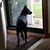 Debra Churchill's profile image
