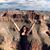 Erin Rinehart's profile image