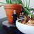 Mary Beth Mueller's profile image