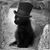 Sharon Burgess's profile image