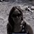 Inna Sokolov's profile image