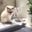 NrNr Suliman's profile image