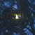 Amy Bauer's profile image