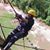 Amy Villaume Auger's profile image