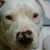 Katrina E. Finucan's profile image