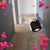 Joanie Brandt's profile image