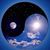 Rebecca Gresh Hamilton's profile image