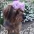Cynthia Nicholson's profile image