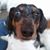 Ryan Van Dyke's profile image