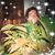 Linda Chiacchia Balboni's profile image