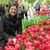 Karen Mcgormley's profile image
