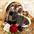 Deb Whalen Branson's profile image