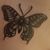 Samantha Miranda Nelson's profile image